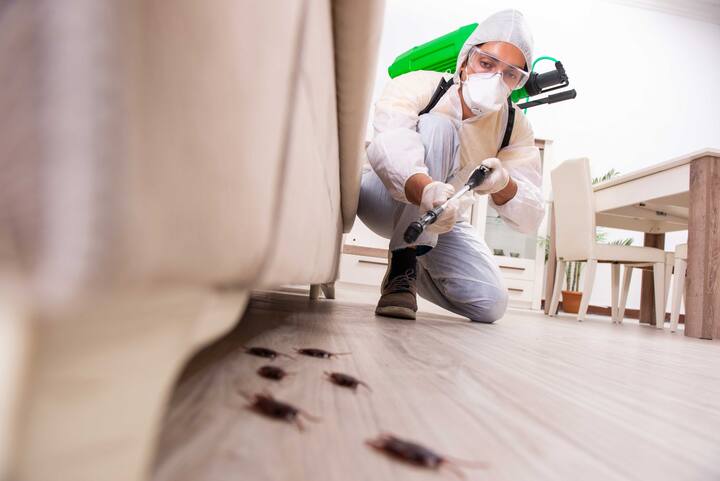 A picture of a man holding a can of pest control spray and aiming it at an unseen pest. The man appears to be indoors, possibly in a kitchen or other area where pests may be present. If you are dealing with a pest infestation in San Francisco, CA, consider contacting a professional pest control company in the area for assistance.